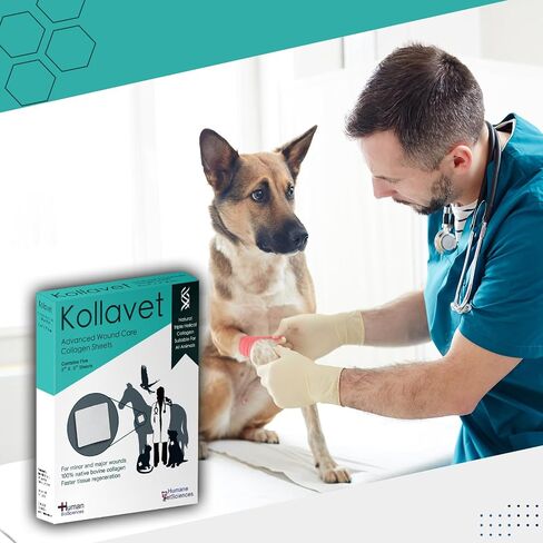 Veterinarian-Recommended Animal Wound Care Dressing for Cats, Dogs, Horses, Reptiles, Pets, and Working Animals (1 Gram Vials) in Saudi Arabia
