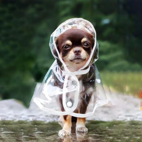 Puppy Raincoat for Small Dogs Transparency Pet Raincoat Waterproof Cloak Pet Hooded Raincoat Jacket,Size Medium in Kuwait