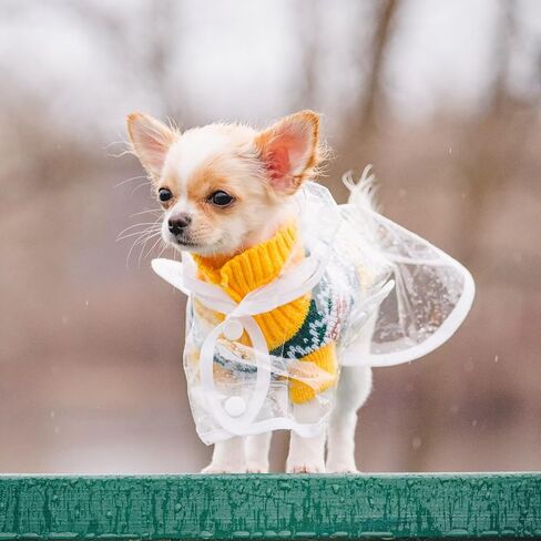 Puppy Raincoat for Small Dogs Transparency Pet Raincoat Waterproof Cloak Pet Hooded Raincoat Jacket,Size Medium in Kuwait
