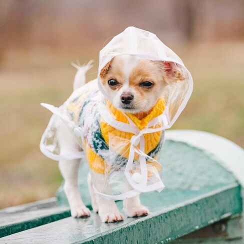 Puppy Raincoat for Small Dogs Transparency Pet Raincoat Waterproof Cloak Pet Hooded Raincoat Jacket,Size Medium in Kuwait