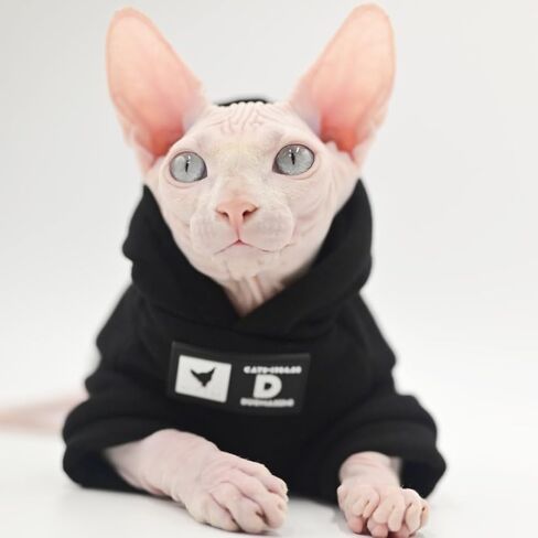 ملابس قطط Sphynx، ملابس كيتي للخريف والشتاء، ملابس قطط بدون شعر، ملابس قطط أصلع لقطط ديفون ريكس، قطط الكورنيش (صغيرة) in Kuwait