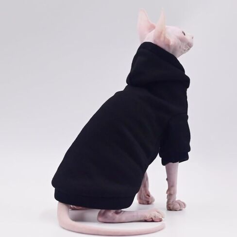 ملابس قطط Sphynx، ملابس كيتي للخريف والشتاء، ملابس قطط بدون شعر، ملابس قطط أصلع لقطط ديفون ريكس، قطط الكورنيش (صغيرة) in Kuwait