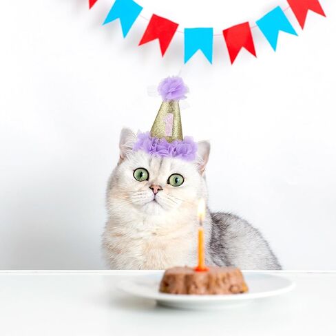 1st Cat Birthday Hat, 2 Pieces Dog Birthday Hat Cute Cat Happy Birthday Party Hat Adjustable Dog Headband Crown Dog First Birthday Party Hats with Flowers for Small Medium Large Dogs Cats Puppy Pets in Saudi Arabia