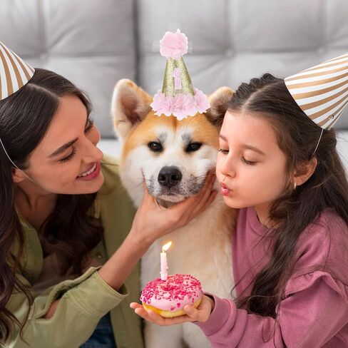1st Cat Birthday Hat, 2 Pieces Dog Birthday Hat Cute Cat Happy Birthday Party Hat Adjustable Dog Headband Crown Dog First Birthday Party Hats with Flowers for Small Medium Large Dogs Cats Puppy Pets in Saudi Arabia