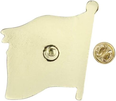 USA Flag American Eagle Lapel Pin, Bulk Pack of 8, Poly Bagged, 7/8 Inch in Saudi Arabia