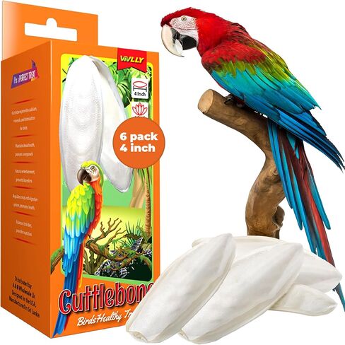 Natural Cuttlebones 6 Pack Calcium Cuttlebone Treats Suitable for All Bird Breeds - Easy to Attach with Metal Holder - Great for Parakeets Parrots Cockatiels - Chew Feeder Tortoise & Snails in Saudi Arabia