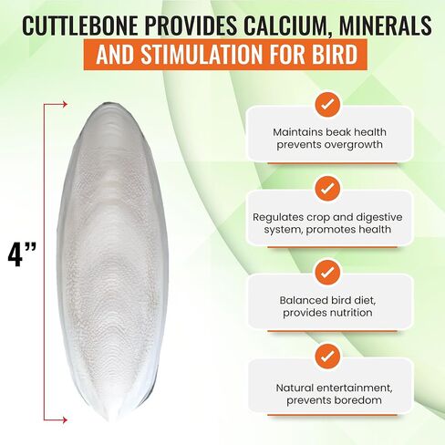 Natural Cuttlebones 6 Pack Calcium Cuttlebone Treats Suitable for All Bird Breeds - Easy to Attach with Metal Holder - Great for Parakeets Parrots Cockatiels - Chew Feeder Tortoise & Snails in Saudi Arabia