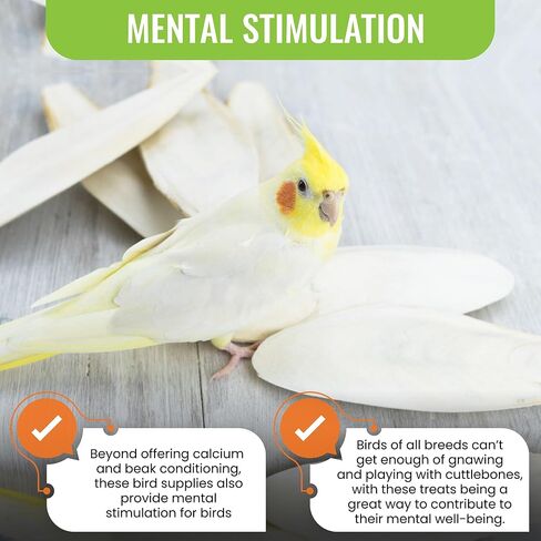 Natural Cuttlebones 6 Pack Calcium Cuttlebone Treats Suitable for All Bird Breeds - Easy to Attach with Metal Holder - Great for Parakeets Parrots Cockatiels - Chew Feeder Tortoise & Snails in Saudi Arabia