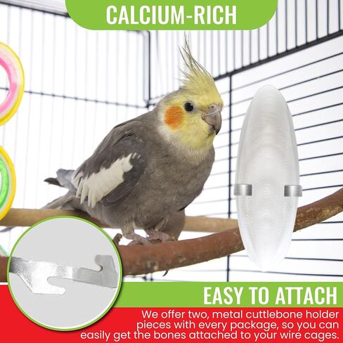 Natural Cuttlebones 6 Pack Calcium Cuttlebone Treats Suitable for All Bird Breeds - Easy to Attach with Metal Holder - Great for Parakeets Parrots Cockatiels - Chew Feeder Tortoise & Snails in Saudi Arabia