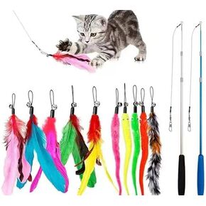 6 قطع من ألعاب الريش التفاعلية للقطط، لعبة للقطط قابلة للتعليق في الأماكن المغلقة، ألعاب اللعب الذاتي تجعل المرح ممتعًا in Kuwait