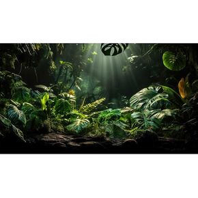 Tropical Aquarium Backdrop Green Leaf and Palms Terrarium Background Nature View Sun Rays Tropical Leaf Fish Tank Background Reptile Habitat Backdrop Wallpaper Poster Background Vinyl 48x18in