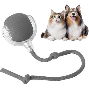 Interactive Dog & Cat Electric Active Toys - Smart Rolling Ball for Dogs & Cats, Rechargeable(Green)