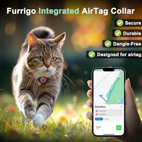 طوق قطط من Airtag منفصل، طوق قطط عاكس مع حامل علامة Apple Air Tag وجرس، حشوة مريحة، قابلة للتعديل، متينة، مناسبة للقطط البناتية (فيروزي، XS) in Saudi Arabia