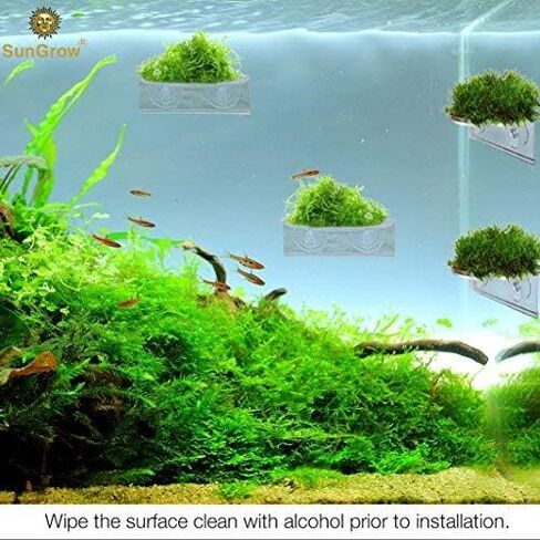 حامل الكاميرا الأمنية SunGrow Dog & Cat in Kuwait