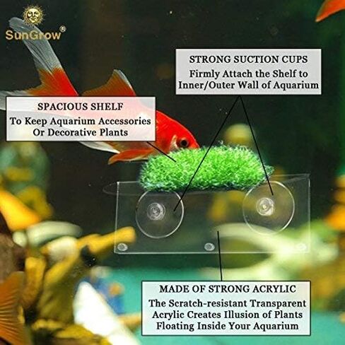 حامل الكاميرا الأمنية SunGrow Dog & Cat in Kuwait