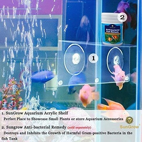 حامل الكاميرا الأمنية SunGrow Dog & Cat in Kuwait