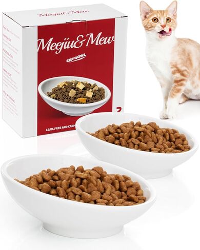 2-Pack Cat Bowls, Extra Wide Cat Food Bowl for Whisker Fatigue Relief, Shallow Tilted Ceramic Cat Bowl for Wet and Dry Food, Kitten Dishes with Whisker-Friendly Design, Ideal for Indoor Cats - White in Saudi Arabia
