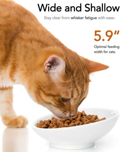 2-Pack Cat Bowls, Extra Wide Cat Food Bowl for Whisker Fatigue Relief, Shallow Tilted Ceramic Cat Bowl for Wet and Dry Food, Kitten Dishes with Whisker-Friendly Design, Ideal for Indoor Cats - White in Saudi Arabia