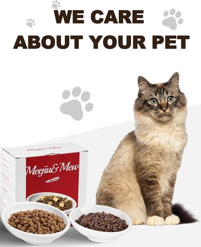 2-Pack Cat Bowls, Extra Wide Cat Food Bowl for Whisker Fatigue Relief, Shallow Tilted Ceramic Cat Bowl for Wet and Dry Food, Kitten Dishes with Whisker-Friendly Design, Ideal for Indoor Cats - White in Saudi Arabia