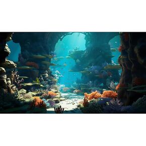 Aquarium Background Underwater World Coral Reef and Tropical Fish Terrarium Backdrop Undersea Landscape Tank Background Wallpaper Poster Reptile Habitat Backdrop Vinyl 24x16in