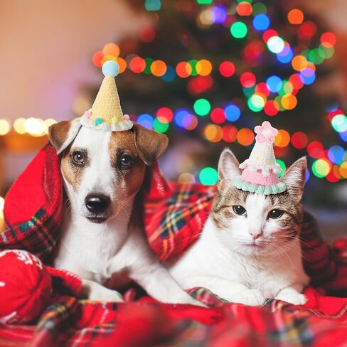 Sanwuta 4 Pcs Christmas Knit Cat Hat Dog Hat Pet Cute Birthday Hat Puppy Party Hats Birthday Party Costume Headwear Accessories for Puppy Cat Kitten Small Dogs Small Animal(Stylish Color) in Saudi Arabia