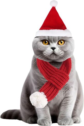 Cat Santa Hat with Red and Green Scarf, Christmas Santa Hats for Cats Puppies Rabbits PC304-2 in Kuwait