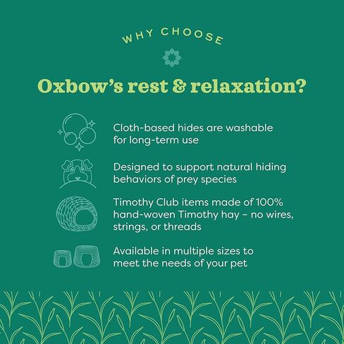 Oxbow Enriched Life Small Animal Accessories - Hammock for Rats, Ferrets, Chinchillas & Other Small Pets - Honeycomb in Saudi Arabia