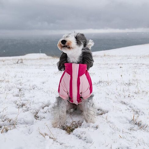 Dog Coat, Windproof Winter Jacket with Harness, Stylish Turtleneck Dog Puffer Coat, Reflective Straps, Hook and Loop Closure for Small Medium Large Dogs CFY03M in Saudi Arabia