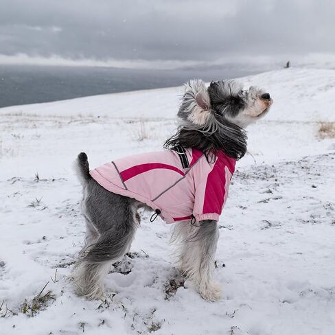 Dog Coat, Windproof Winter Jacket with Harness, Stylish Turtleneck Dog Puffer Coat, Reflective Straps, Hook and Loop Closure for Small Medium Large Dogs CFY03M in Saudi Arabia