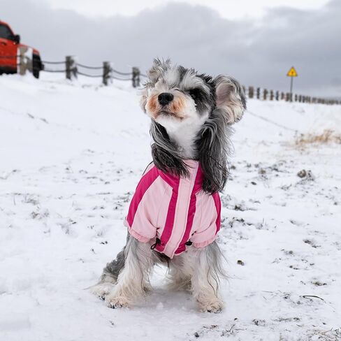 Dog Coat, Windproof Winter Jacket with Harness, Stylish Turtleneck Dog Puffer Coat, Reflective Straps, Hook and Loop Closure for Small Medium Large Dogs CFY03M in Saudi Arabia