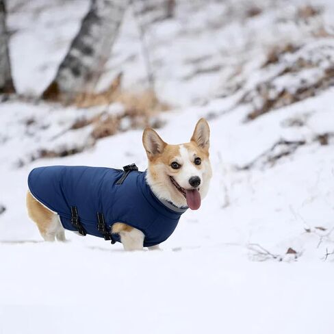 Dog Coat with Harness Built in, Waterproof Dog Jacket with Back Zipper, Reflective Dog Winter Coat for Cold Weather, Windproof Dog Winter Jacket for Small Medium Large Dogs in Kuwait