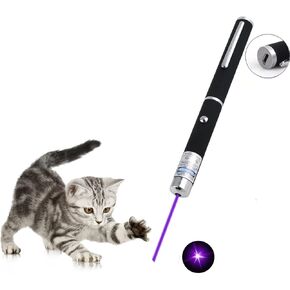 Cats Toys USB Rechargeable Pet Interactive Toys with Purple Pointer Remotes for Indoor Classroom Interactive Teaching (Purple, USB 1 Pack)