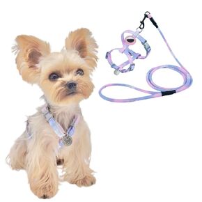 No Pull Dog Harness and Leash with AirTag Holder, Waterproof Tracker Case, Perfect for Small Dogs, Teacup Breeds, and Cats, Arnés Para Perro