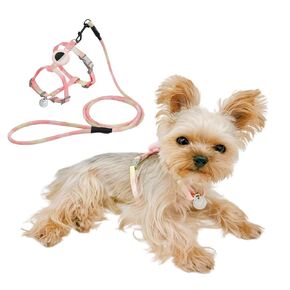 No Pull Dog Harness and Leash with AirTag Holder, Waterproof Tracker Case, Perfect for Small Dogs, Teacup Breeds, and Cats, Arnés Para Perro