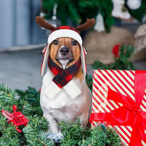 Coume عيد الميلاد قرن الوعل الاختيار الكلب قبعة ووشاح مجموعة الشتاء الأحمر والأسود الجاموس منقوشة الحيوانات الأليفة القبعات مع غطاء للأذنين قابل للتعديل عيد الميلاد احتفالي حزب الحيوانات الأليفة اللباس الملحقات زي (M) in Kuwait