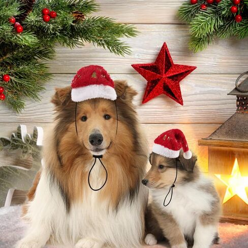 Christmas Santa Hat for Dogs Cats Pet Costume Wear Festival Hat Thanksgiving Holiday Golden Deer Printed (Large) in Saudi Arabia