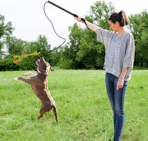 MEWTOGO Flirt Pole للكلاب المتوسطة الصغيرة - هدايا عصا دعابة تفاعلية متينة للكلاب مع حبل قابل للتعديل و2 ألعاب مضغ للكلاب، لعبة مطاردة عصا اللعوب للعب التدريب في الهواء الطلق in Kuwait