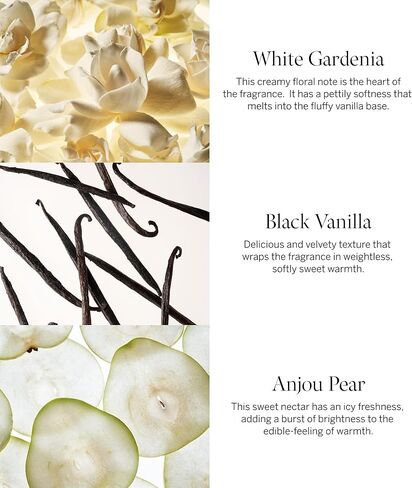 بخاخ الجسم فري سيكسي للنساء من فيكتوريا سيكريت، نفحات من أوركيد الفانيليا، وكليمنتين مشمس، وتوت أسود بري، مجموعة مثيرة جدًا (2.5 أونصة) in Kuwait