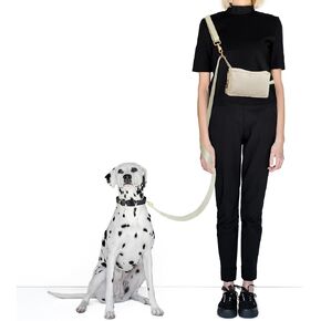 Hands-Free Dog Leash with Adjustable Waist & Crossbody Fanny Pack Perfect for Walking, Jogging, & Training, Securely Holds Treats, Toys, and Essentials, Comfortable, Durable, and Convenient Design