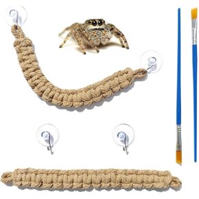 CYG&CL 2 Pack Jumping Spider Enclosure Climbing Toys, Hanging Jumping Spider Rope Bridge, Jumping Spider Accessories, Habitat Decor for Small Reptiles and Amphibians