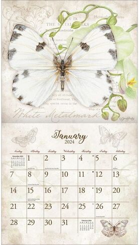 LANG Butterflies 2025 Wall Calendar (25991001898) in Saudi Arabia