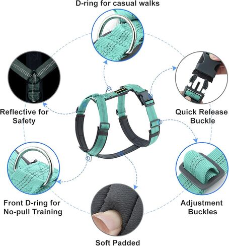 Plutus Pet No Pull Dog Harness, Adjustable Nylon Harness with Soft Padding in Kuwait