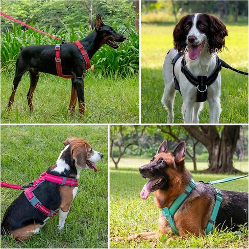 Plutus Pet No Pull Dog Harness, Adjustable Nylon Harness with Soft Padding in Kuwait