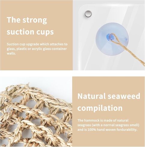ألعاب تسلق السلطعون الناسك، 2 أرجوحة من الأعشاب البحرية مع أكواب شفط وسلم تسلق خشبي، ألعاب السلطعون الناسك، ملحقات خزان السلطعون الناسك، للحيوانات الصغيرة مثل السرطان الناسك والسحالي والهامستر in Kuwait