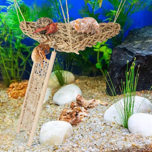 ألعاب تسلق السلطعون الناسك، 2 أرجوحة من الأعشاب البحرية مع أكواب شفط وسلم تسلق خشبي، ألعاب السلطعون الناسك، ملحقات خزان السلطعون الناسك، للحيوانات الصغيرة مثل السرطان الناسك والسحالي والهامستر in Kuwait