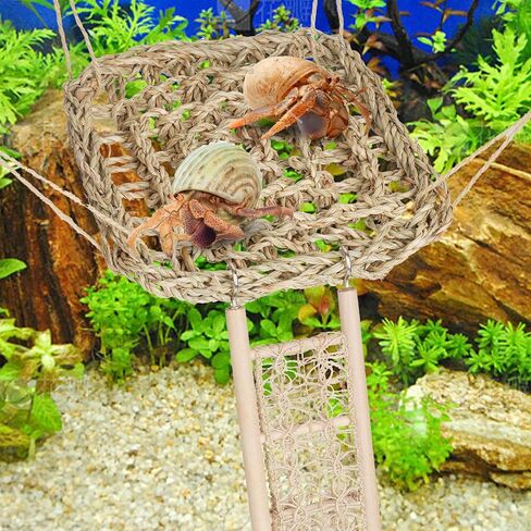 ألعاب تسلق السلطعون الناسك، 2 أرجوحة من الأعشاب البحرية مع أكواب شفط وسلم تسلق خشبي، ألعاب السلطعون الناسك، ملحقات خزان السلطعون الناسك، للحيوانات الصغيرة مثل السرطان الناسك والسحالي والهامستر in Kuwait