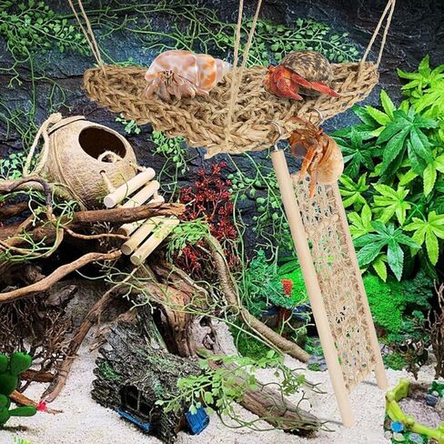 ألعاب تسلق السلطعون الناسك، 2 أرجوحة من الأعشاب البحرية مع أكواب شفط وسلم تسلق خشبي، ألعاب السلطعون الناسك، ملحقات خزان السلطعون الناسك، للحيوانات الصغيرة مثل السرطان الناسك والسحالي والهامستر in Kuwait