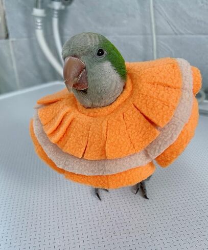 Adjustable Parrot Cone Collar, Safe and Practical Cotton Collar to Prevent Bites and Licking Wounds, to Help heal (XS) in Saudi Arabia