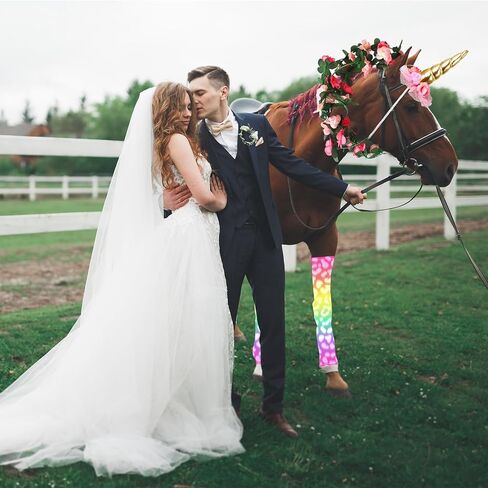6 PCS Horse Bling Accessory Costume for Horses to Wear with Unicorn Horn Headband Spiral Horns Artificial Rose Flower Vine Warmers and Horse Hair Clips for Christmas Party Decorations (Style 2) in Saudi Arabia