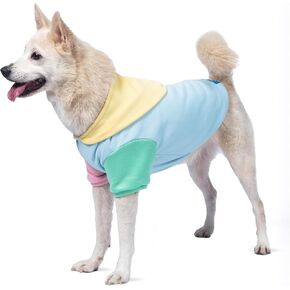 The Dodo Pastel Colorblock Hoodie for Dogs, Size Medium; Everyday Apparel for Dogs, Cute Dog Sweatshirt, Cute Clothes for Dogs, The Dodo for Dogs Collection